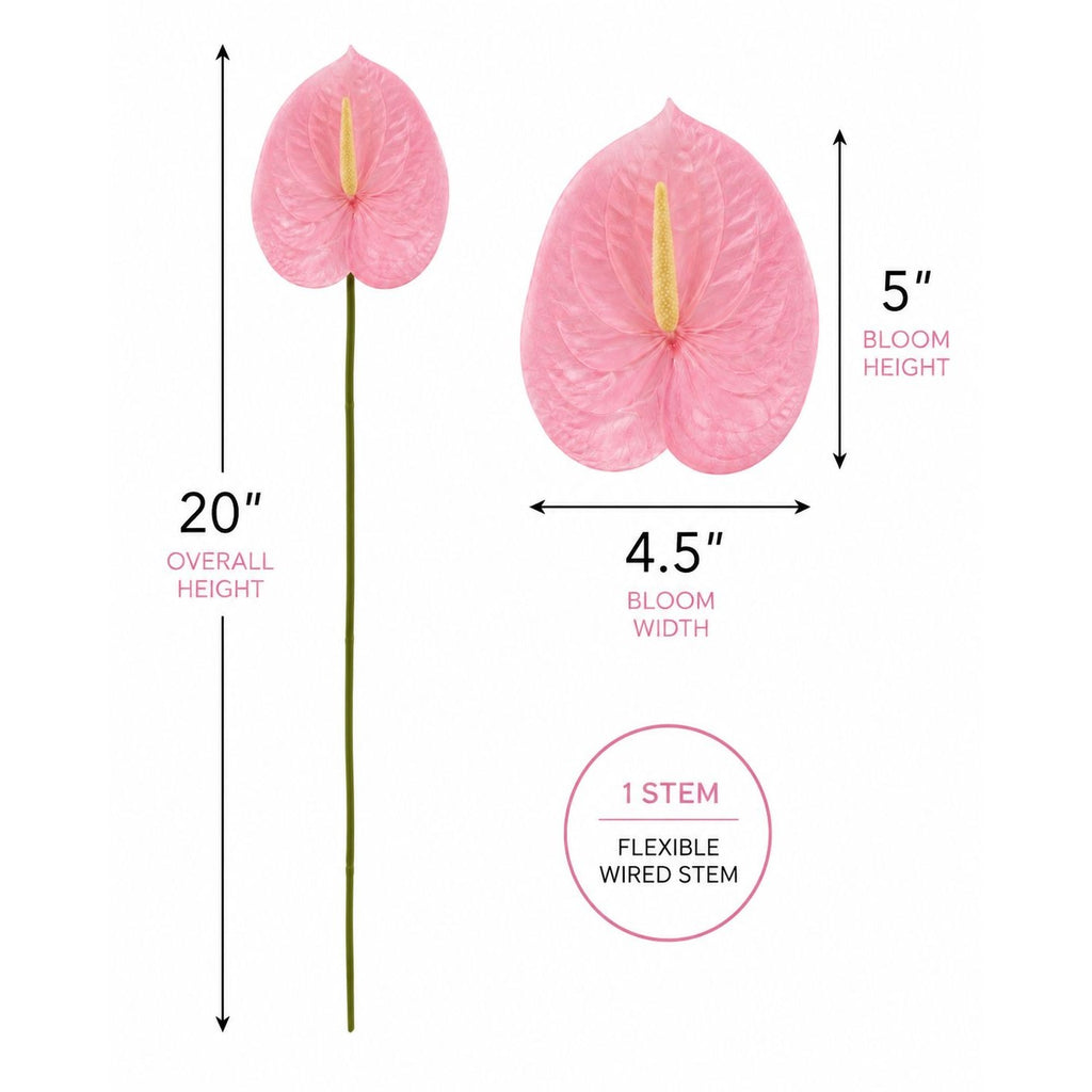 Pink anthurium flower stem with overlaid dimension labels showing overall height of 20 inches, bloom height of 5 inches, and bloom width of 4.5 inches, plus a note for 1 stem flexible wired stem, on a white background.