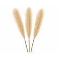 Wheat Beige Pampas Grass 3 Stem Faux Pampas Golden Beige Boho Decor Neutral Vase Filler Farmhouse Floral Stems Minimalist Decor
