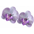 Set of 2 Lavender Purple Orchid Flower Heads 3.5 Inch Faux Floral Corsage Craft Flowers