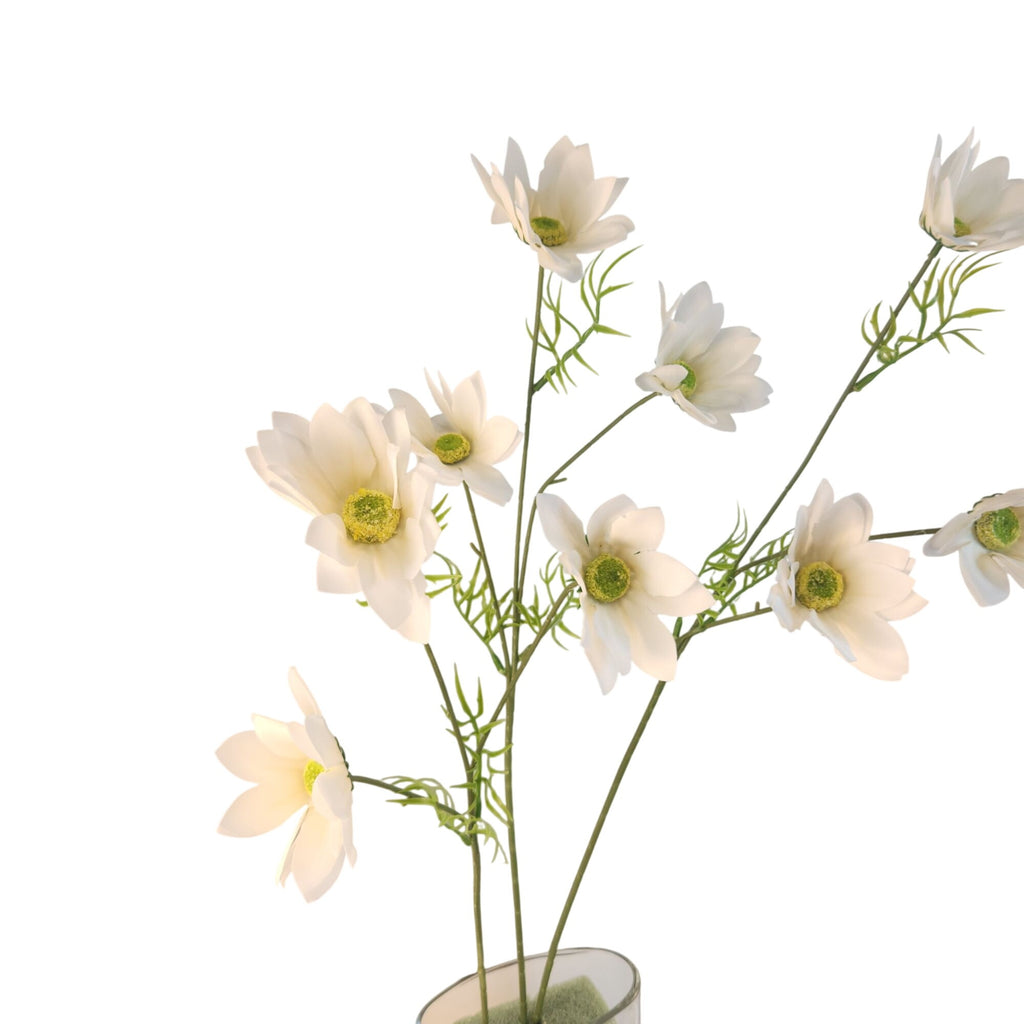 White Artificial African Daisy Stems Set of 3, 25 Inch Real Touch Flowers