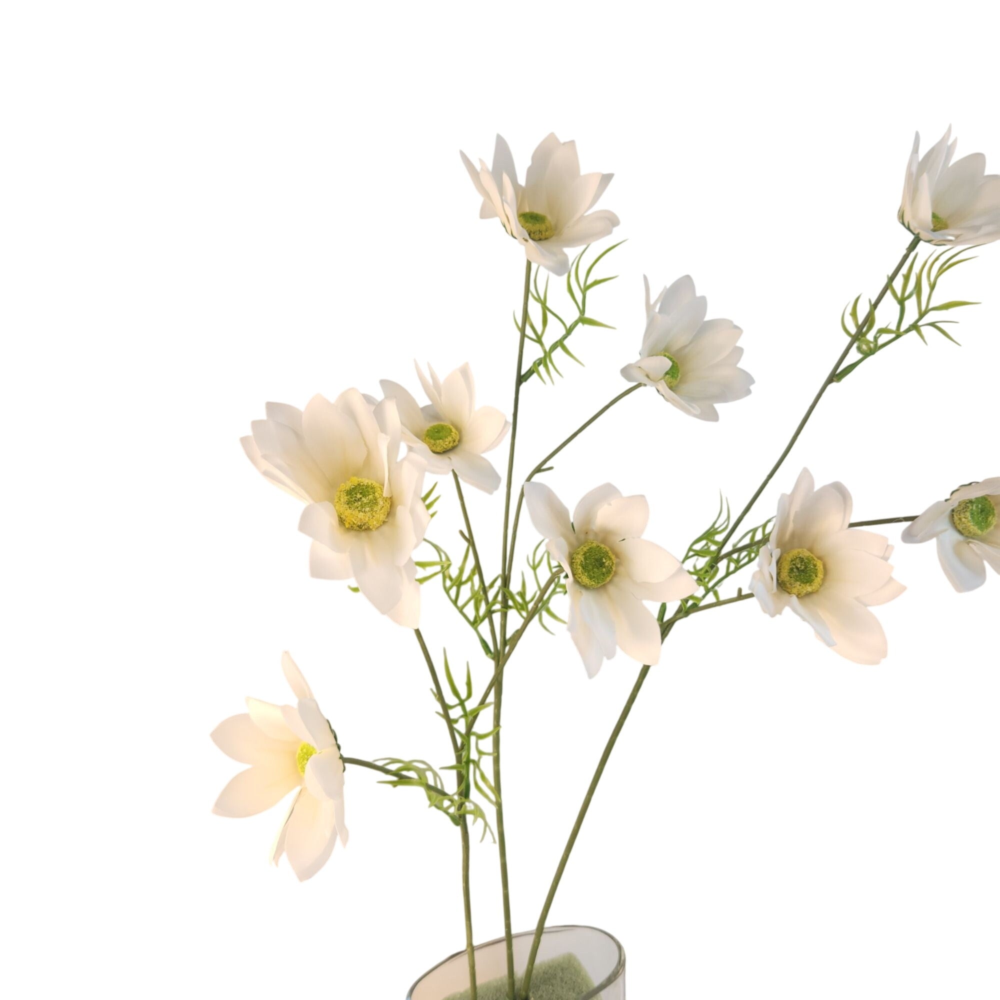 White Artificial African Daisy Stems Set of 3, 25 Inch Real Touch Flowers