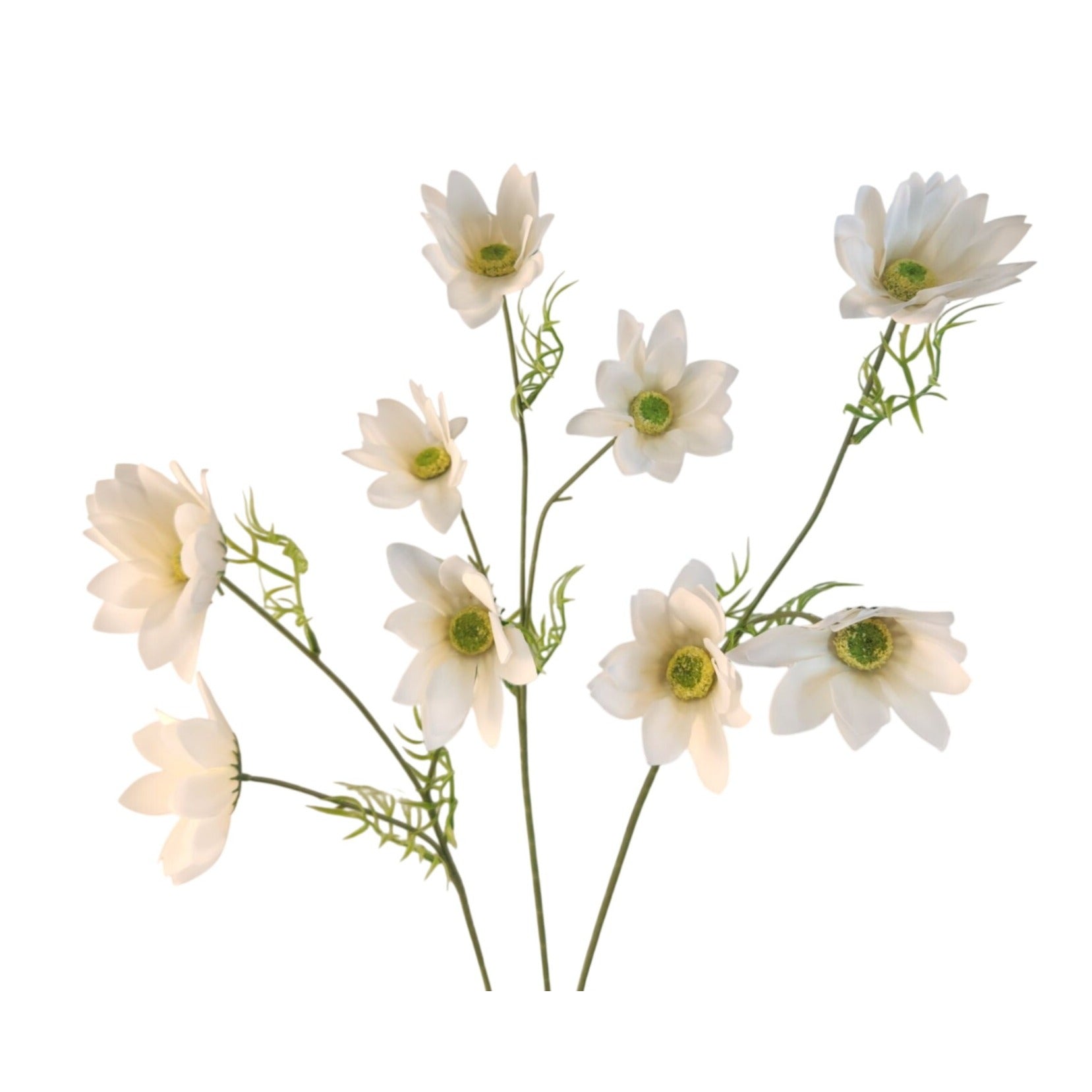 White Artificial African Daisy Stems Set of 3, 25 Inch Real Touch Flowers