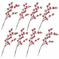 Red berry branches on a white background