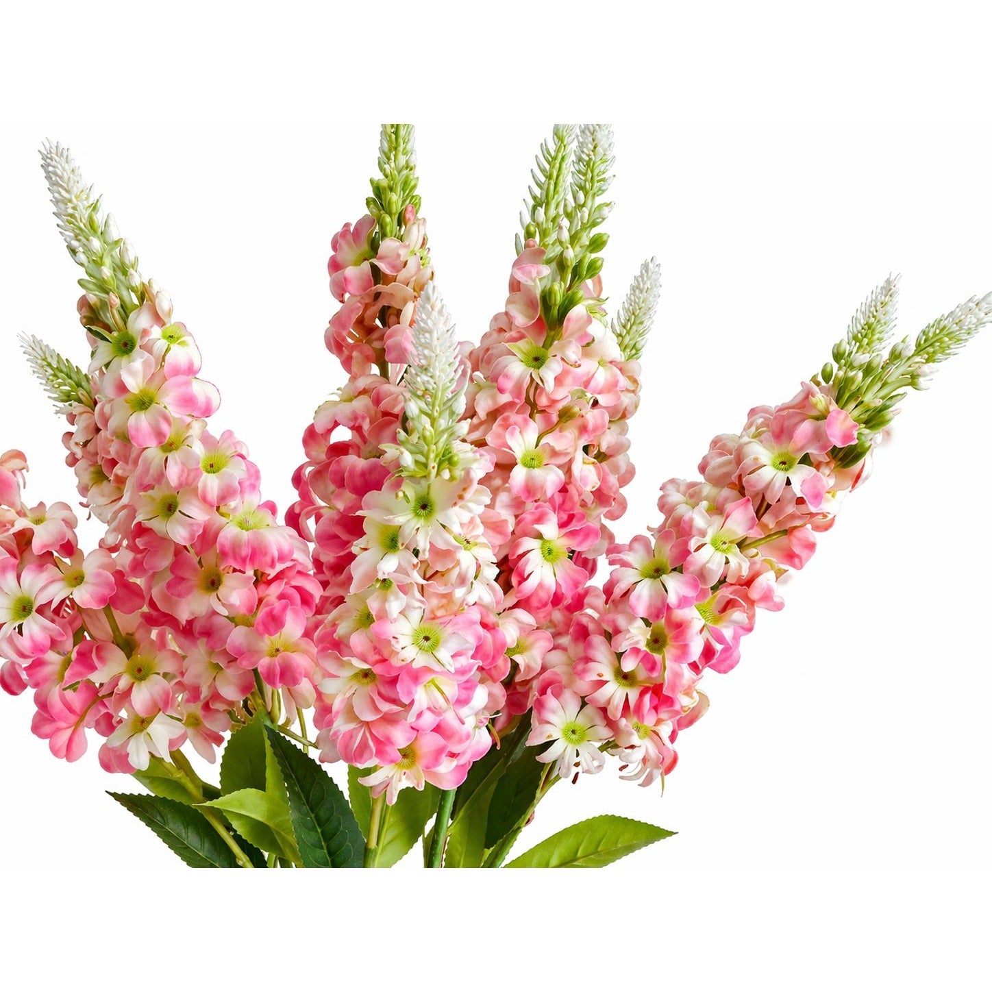 Bouquet of pink and white flowers with green leaves on a white background