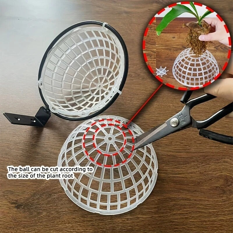 Staghorn Fern & Orchid Hanging Basket Planter Kit 6-Inch Plastic & Metal Bracket