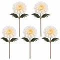 Five artificial dahlia flowers with cream-white petals, dark green leaves, and brown stems, arranged on a plain white background.
