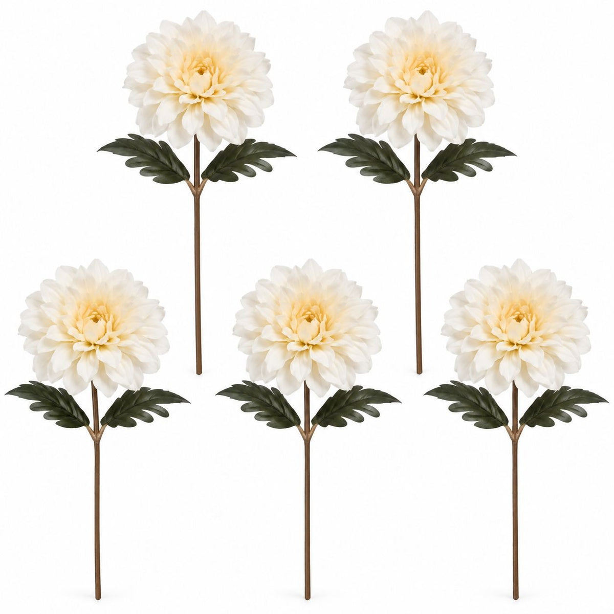 Five artificial dahlia flowers with cream-white petals, dark green leaves, and brown stems, arranged on a plain white background.