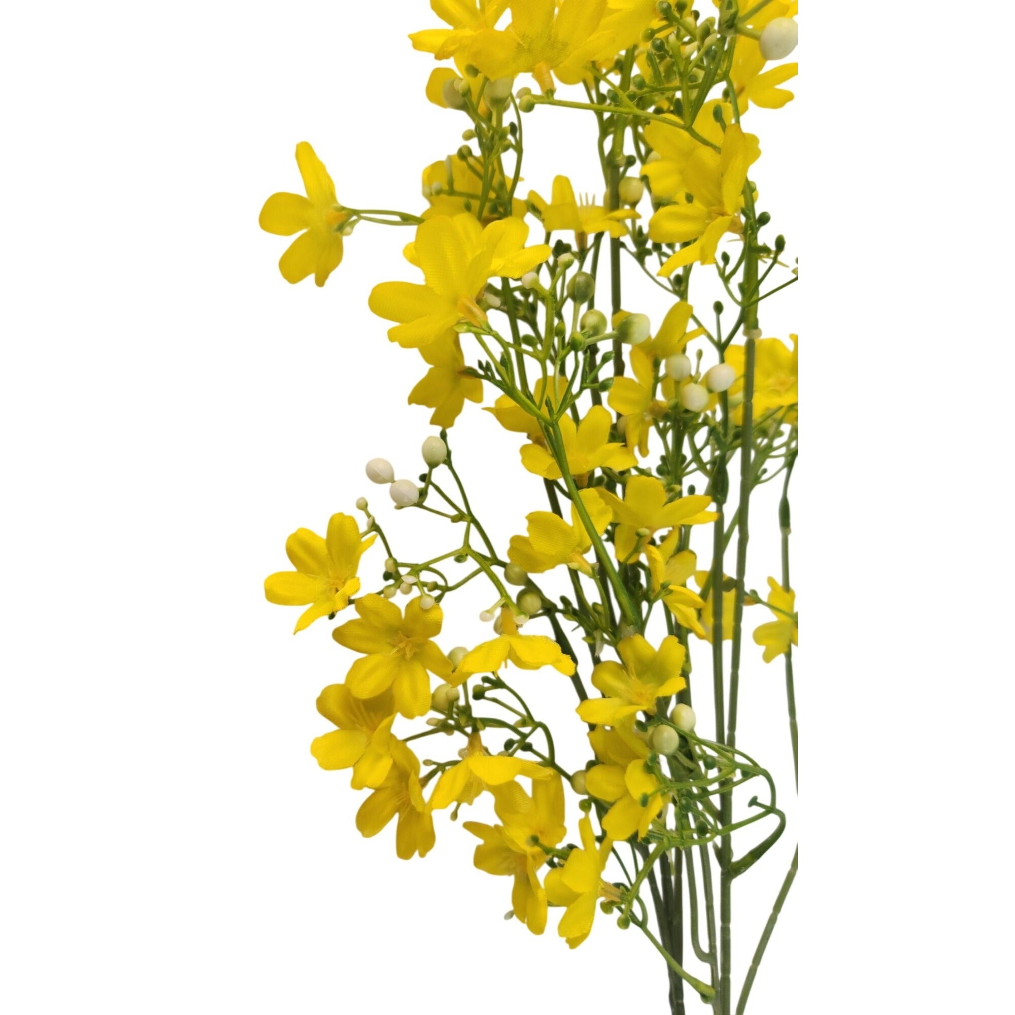 Bouquet of yellow flowers on a white background
