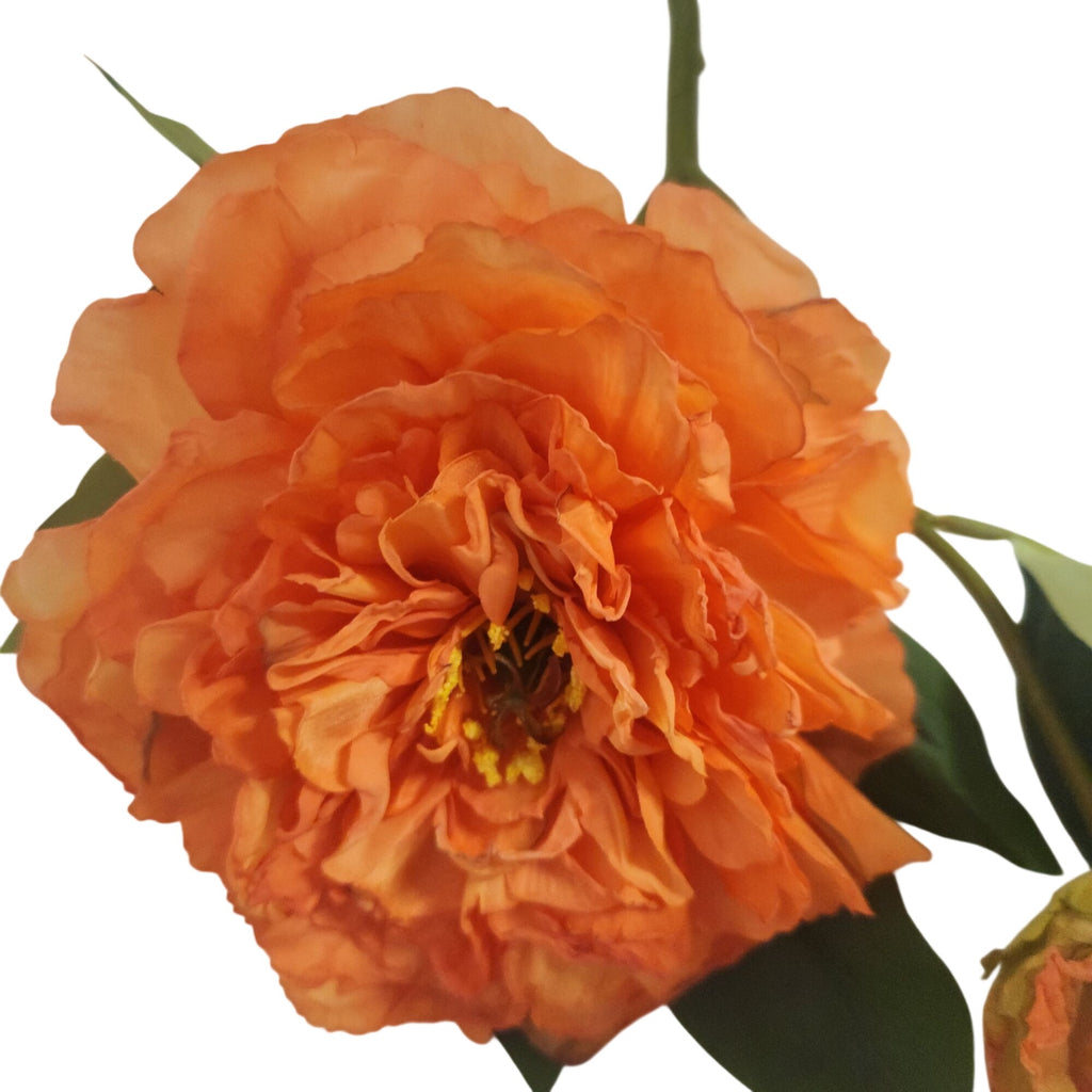 Coral Orange Artificial Faux Peony Stem, 19 Inch, 6 Inch Bloom
