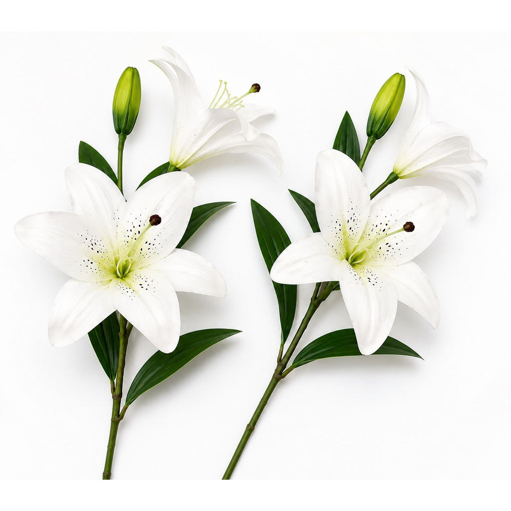 Real Touch White Lily Stems Set of 2, Artificial Lily Flowers, Faux Floral Stems, White Lily Spray, Wedding Flowers, French Country Decor, W