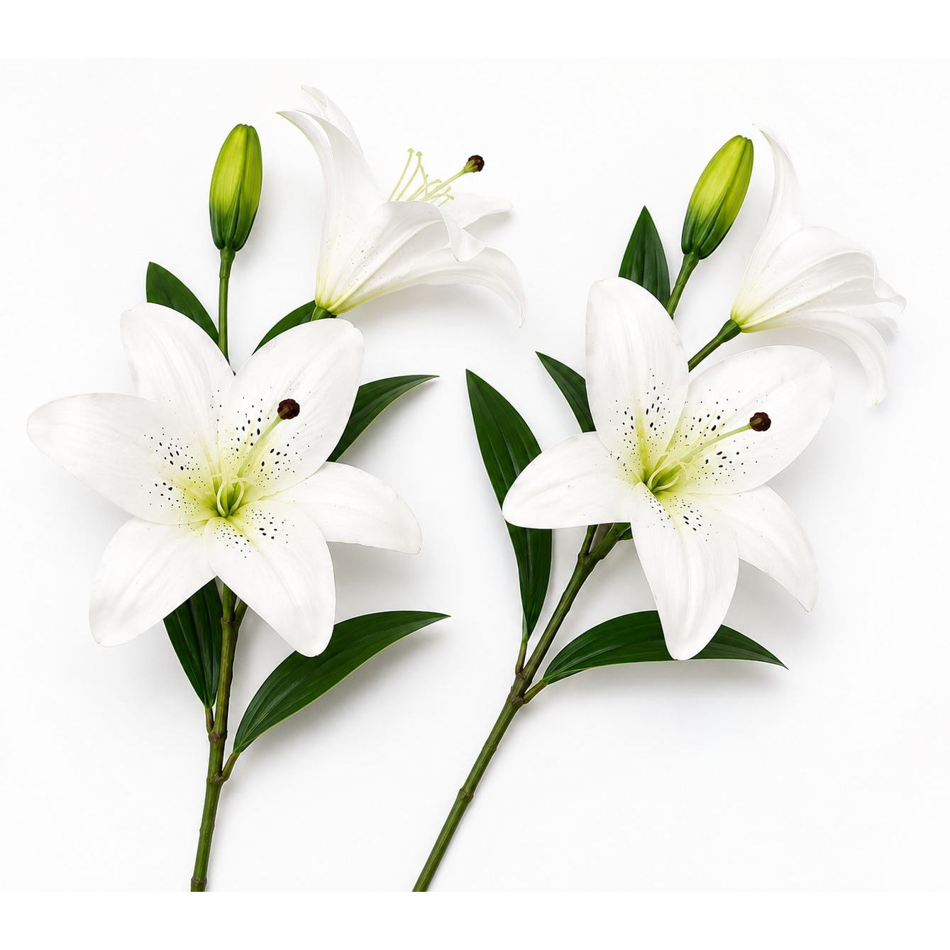 Real Touch White Lily Stems Set of 2, Artificial Lily Flowers, Faux Floral Stems, White Lily Spray, Wedding Flowers, French Country Decor, W