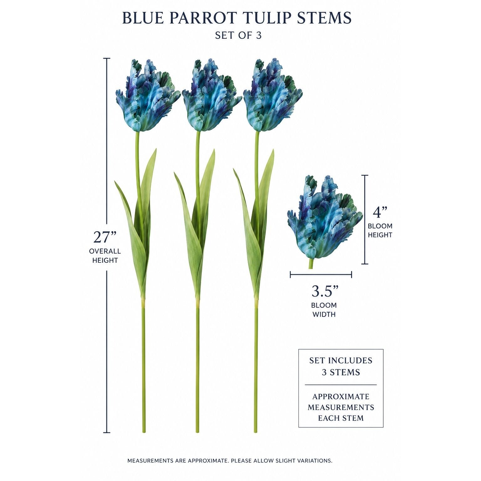 Blue parrot tulip stems set of 3 with dimension labels showing overall height of 27 inches, bloom height of 4 inches, and bloom width of 3.5 inches on a white background.