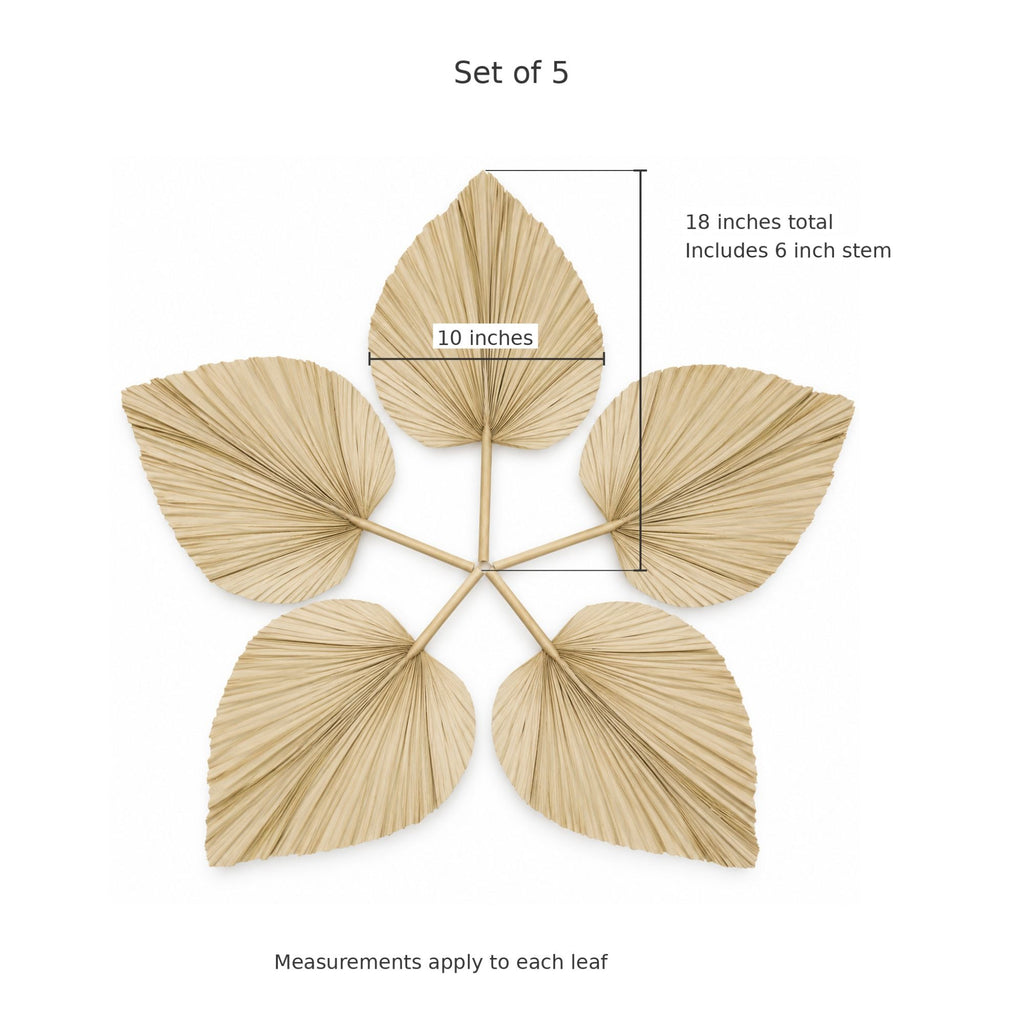 Set of 5 dried palm frond wall decor leaves with dimension labels showing 10 inches per leaf and 18 inches total including a 6 inch stem, on a white background.