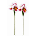 Faux Iris Flower Stems White Pink Yellow Floral Stems Artificial Flowers Cottagecore Decor Wedding Flowers Set of 2