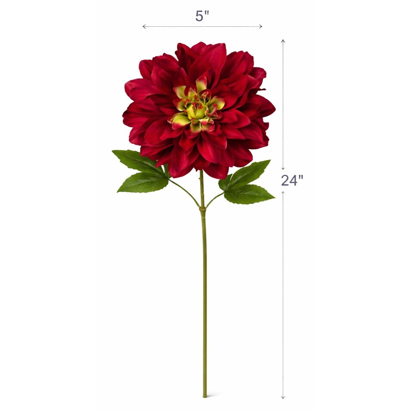Red flower with dimensions labeled on a white background