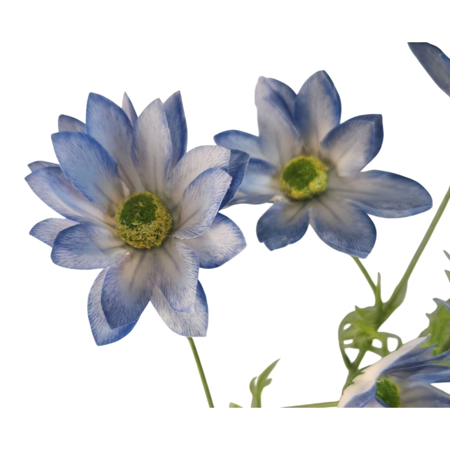 Blue and white artificial flowers with yellow-green centers on green stems, isolated on a white background.