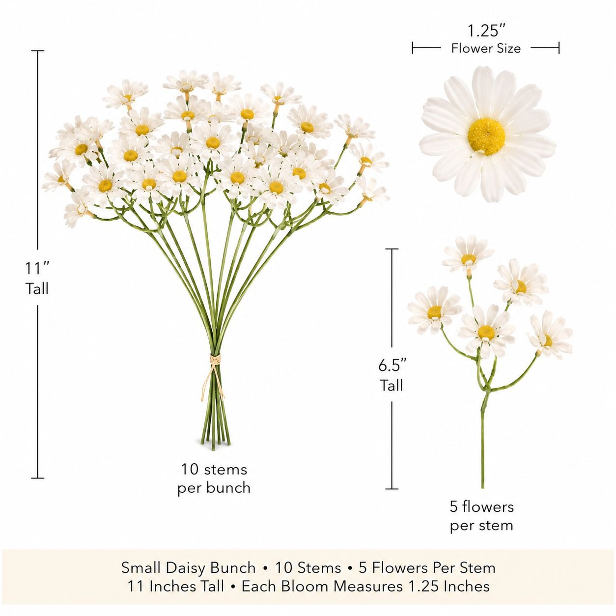 Measurement chart of small daisy bunch with dimensions and details.