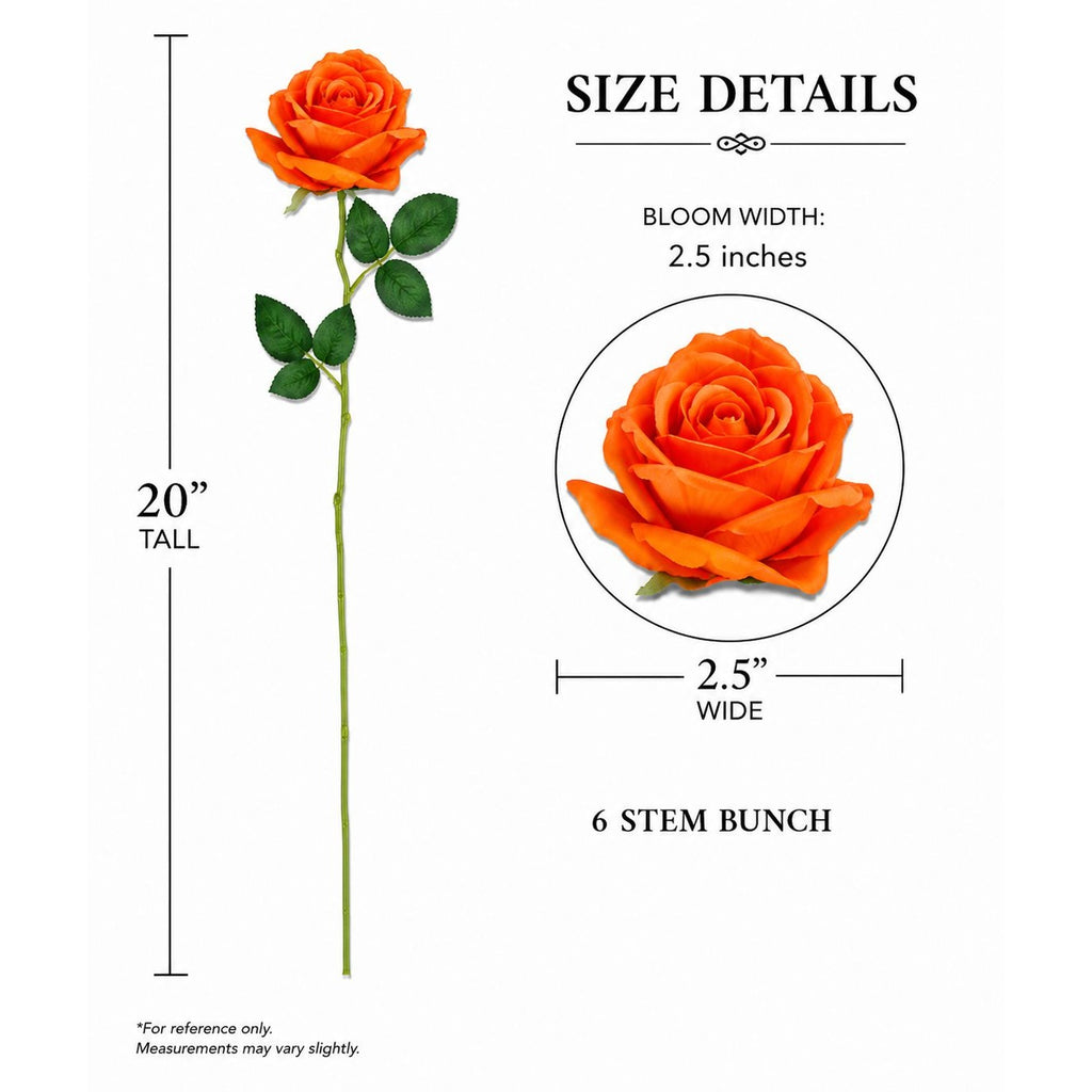 Orange rose with size details on a white background
