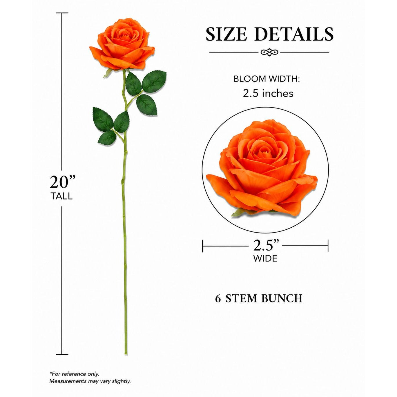 Orange rose with size details on a white background