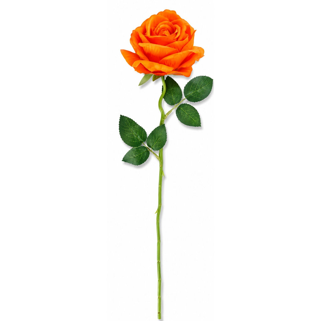 Orange rose with green leaves on a white background