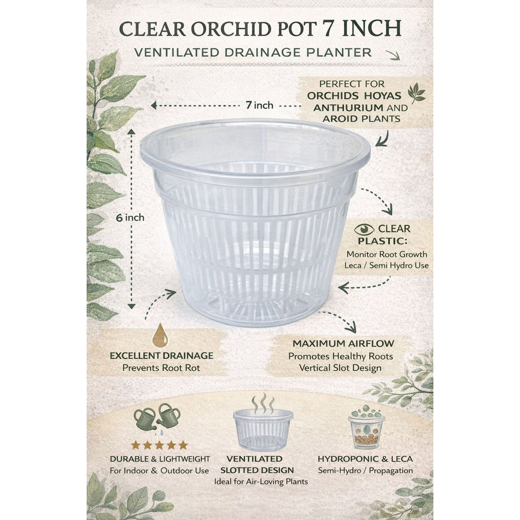 Clear Orchid Pot 7 Inch Slotted Plastic Planter Ventilated Drainage Pot Hydroponic