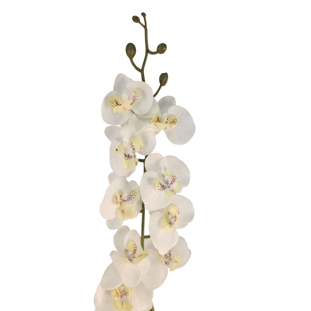 Artificial Phalaenopsis Orchid Stem | White Tropical Flower | Faux Orchid Decor