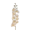 Artificial Phalaenopsis Orchid Stem | White Tropical Flower | Faux Orchid Decor