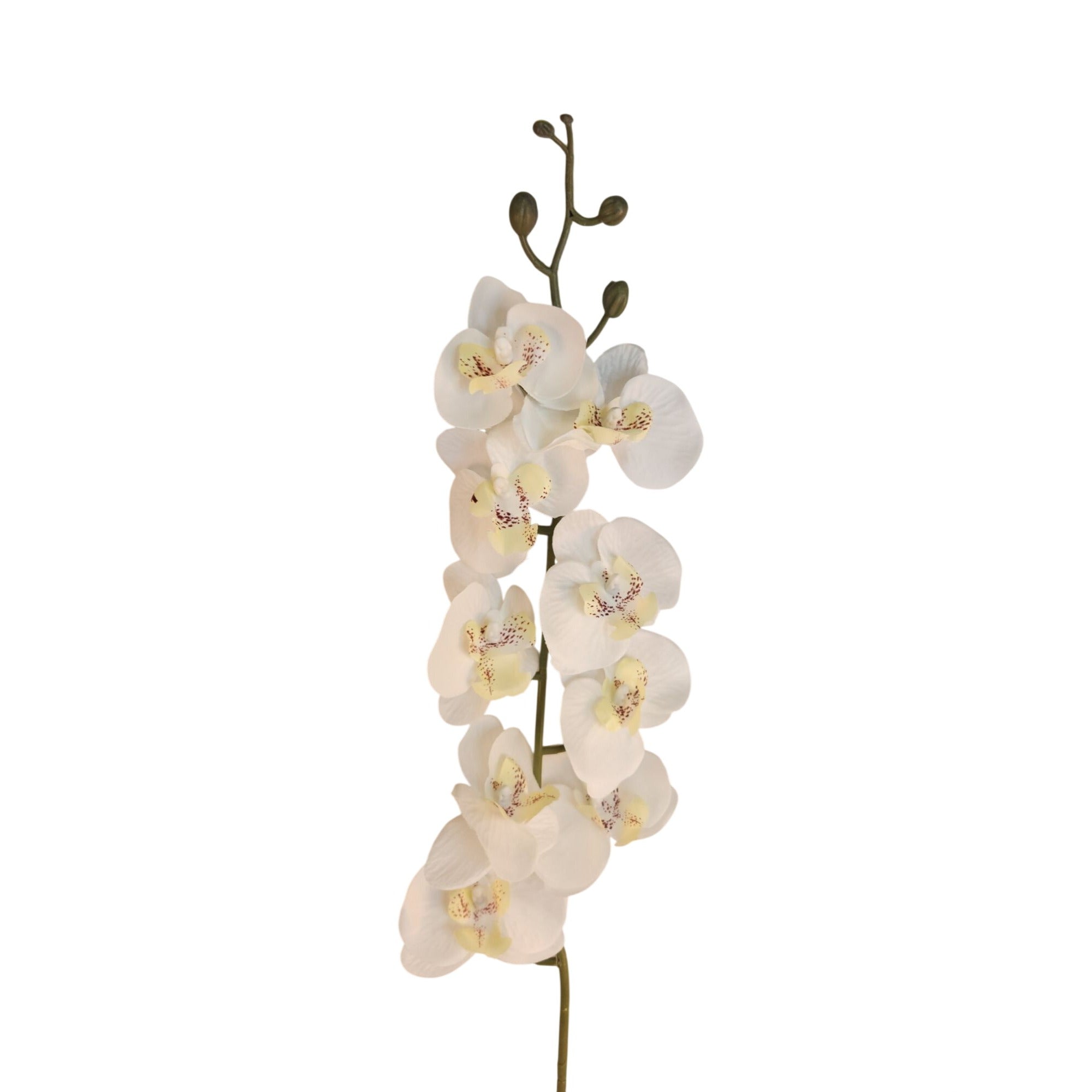 Artificial Phalaenopsis Orchid Stem | White Tropical Flower | Faux Orchid Decor