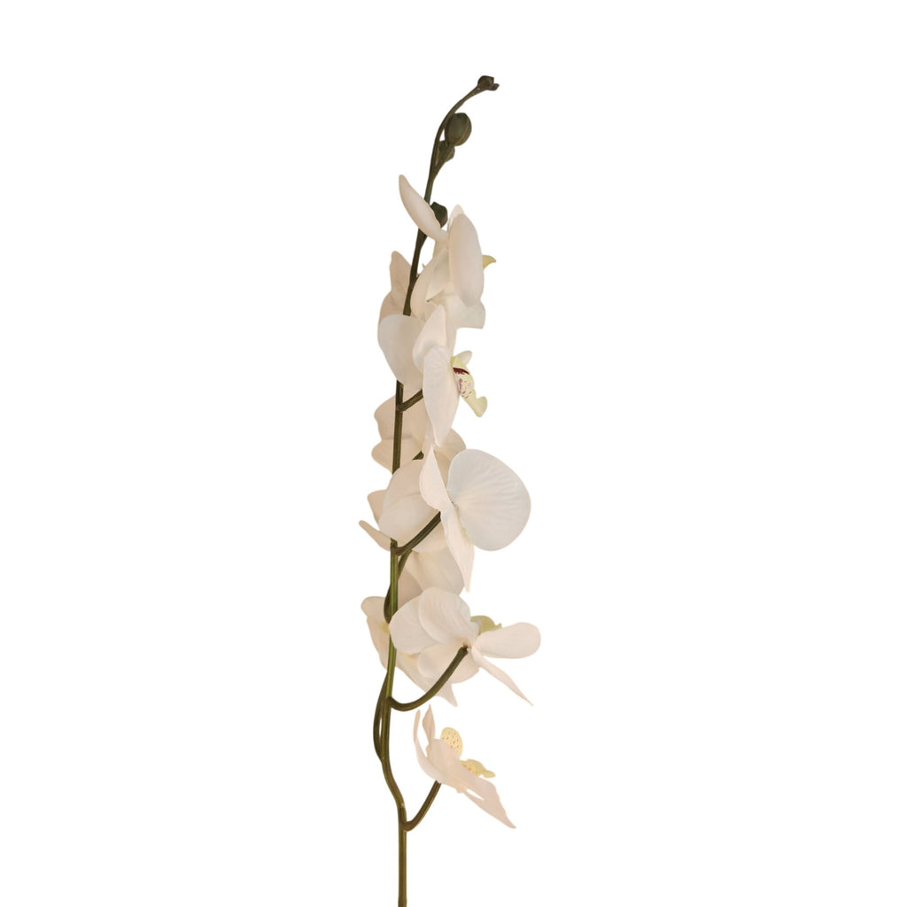 Artificial Phalaenopsis Orchid Stem | White Tropical Flower | Faux Orchid Decor
