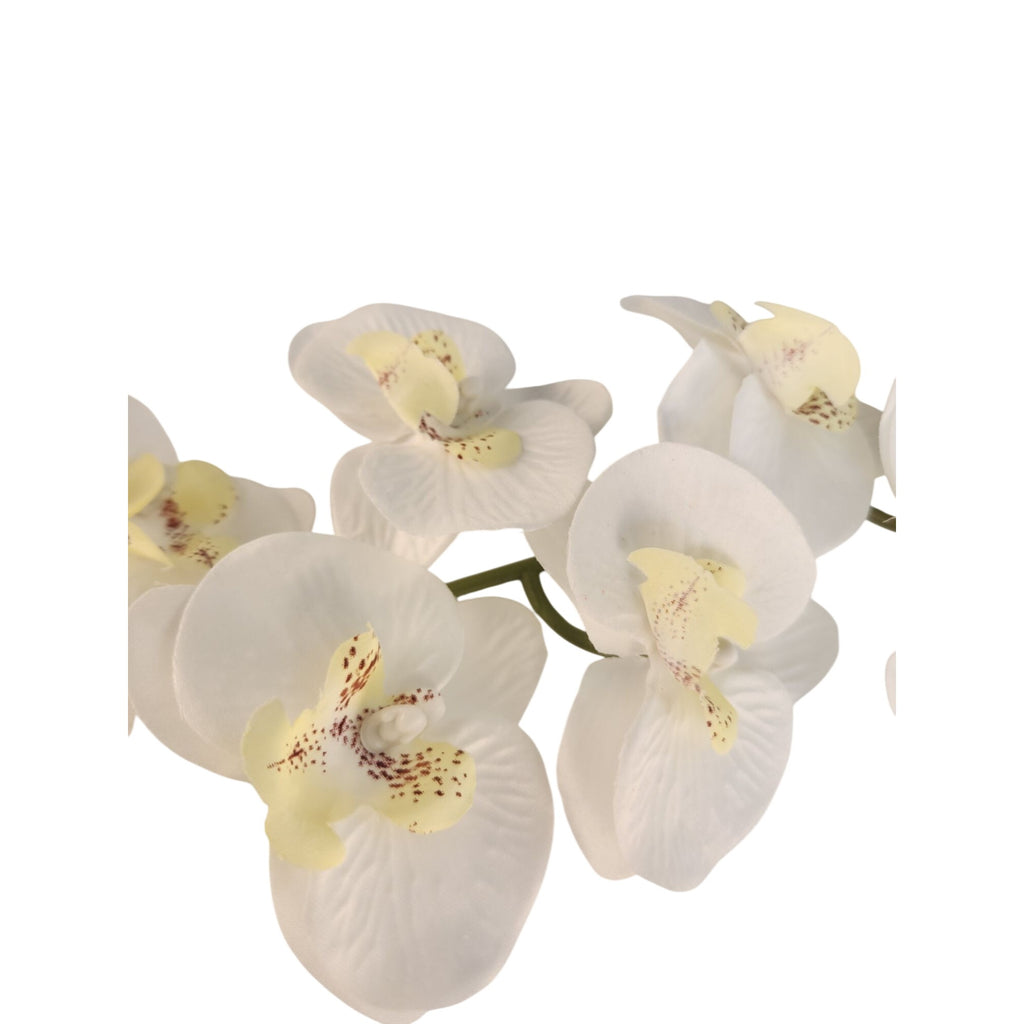 Artificial Phalaenopsis Orchid Stem | White Tropical Flower | Faux Orchid Decor