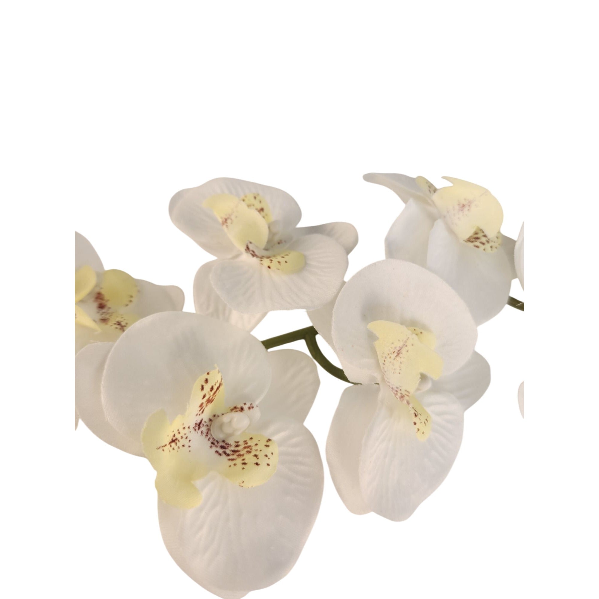 Artificial Phalaenopsis Orchid Stem | White Tropical Flower | Faux Orchid Decor