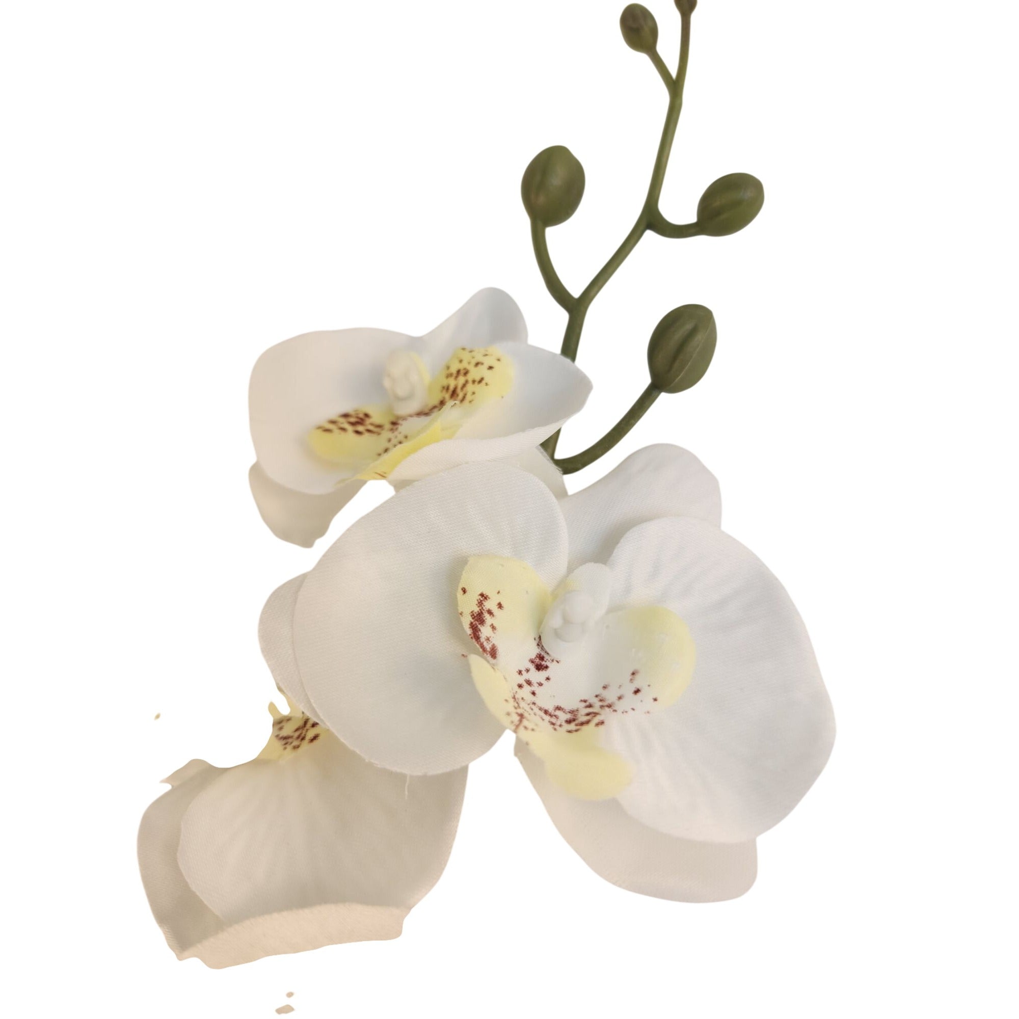 Artificial Phalaenopsis Orchid Stem | White Tropical Flower | Faux Orchid Decor