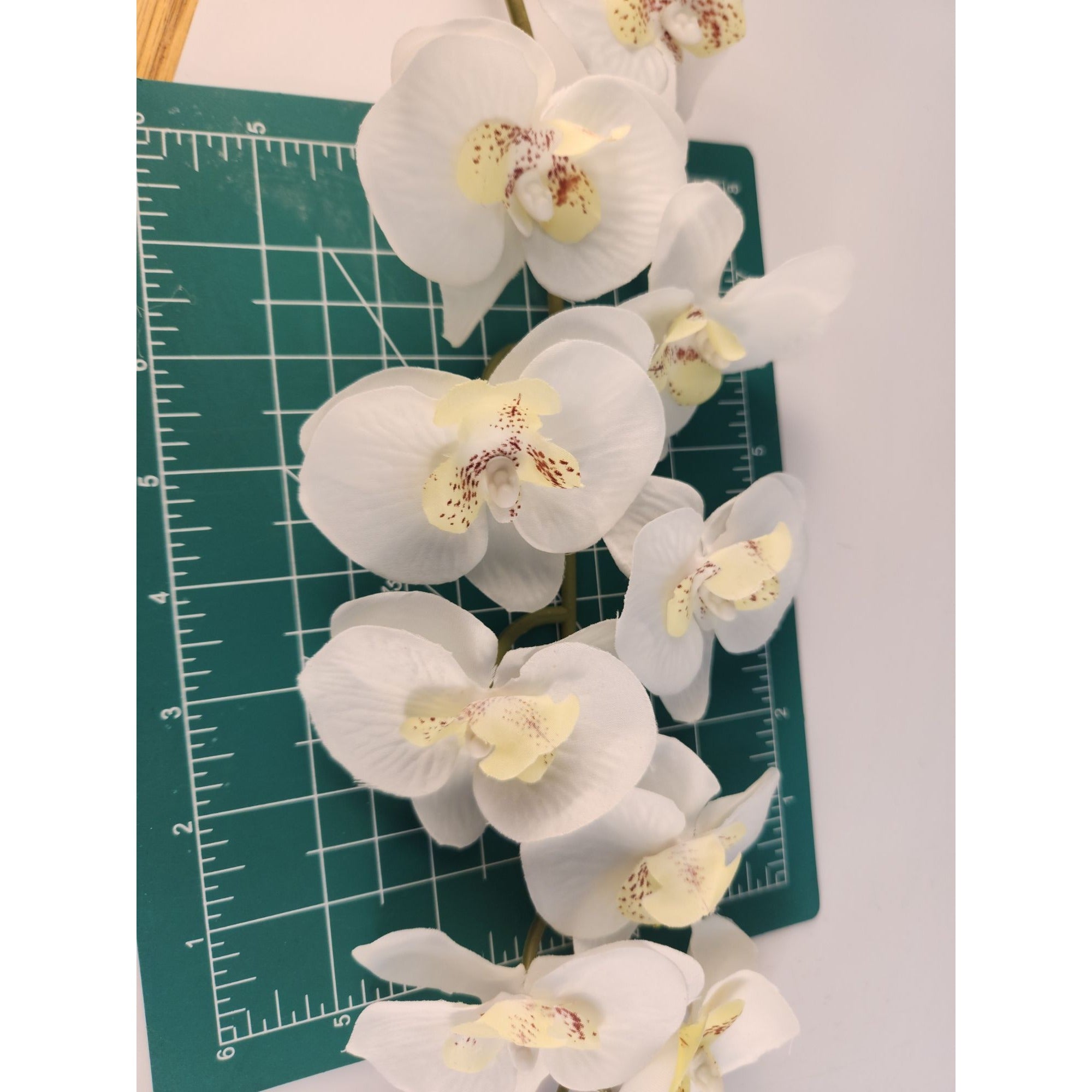 Artificial Phalaenopsis Orchid Stem | White Tropical Flower | Faux Orchid Decor