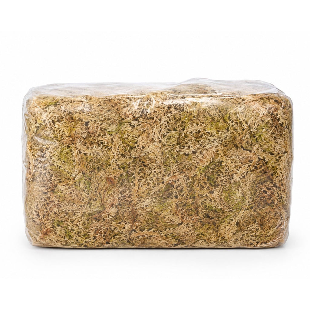 Sphagnum Moss 3.3 lb Long Fiber Bale for Succulent Wreaths Hanging Planters Floral Crafts Premium Natural