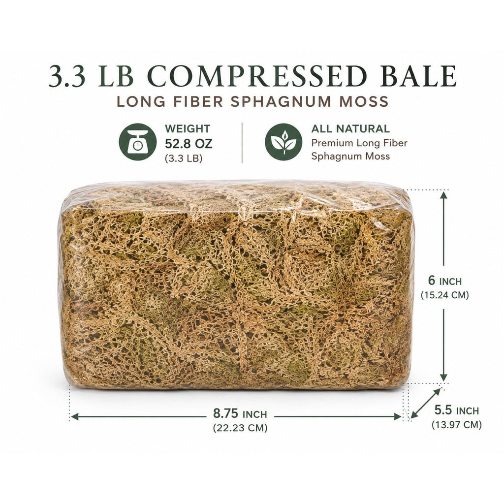 Sphagnum Moss 3.3 lb Long Fiber Bale for Succulent Wreaths Hanging Planters Floral Crafts Premium Natural