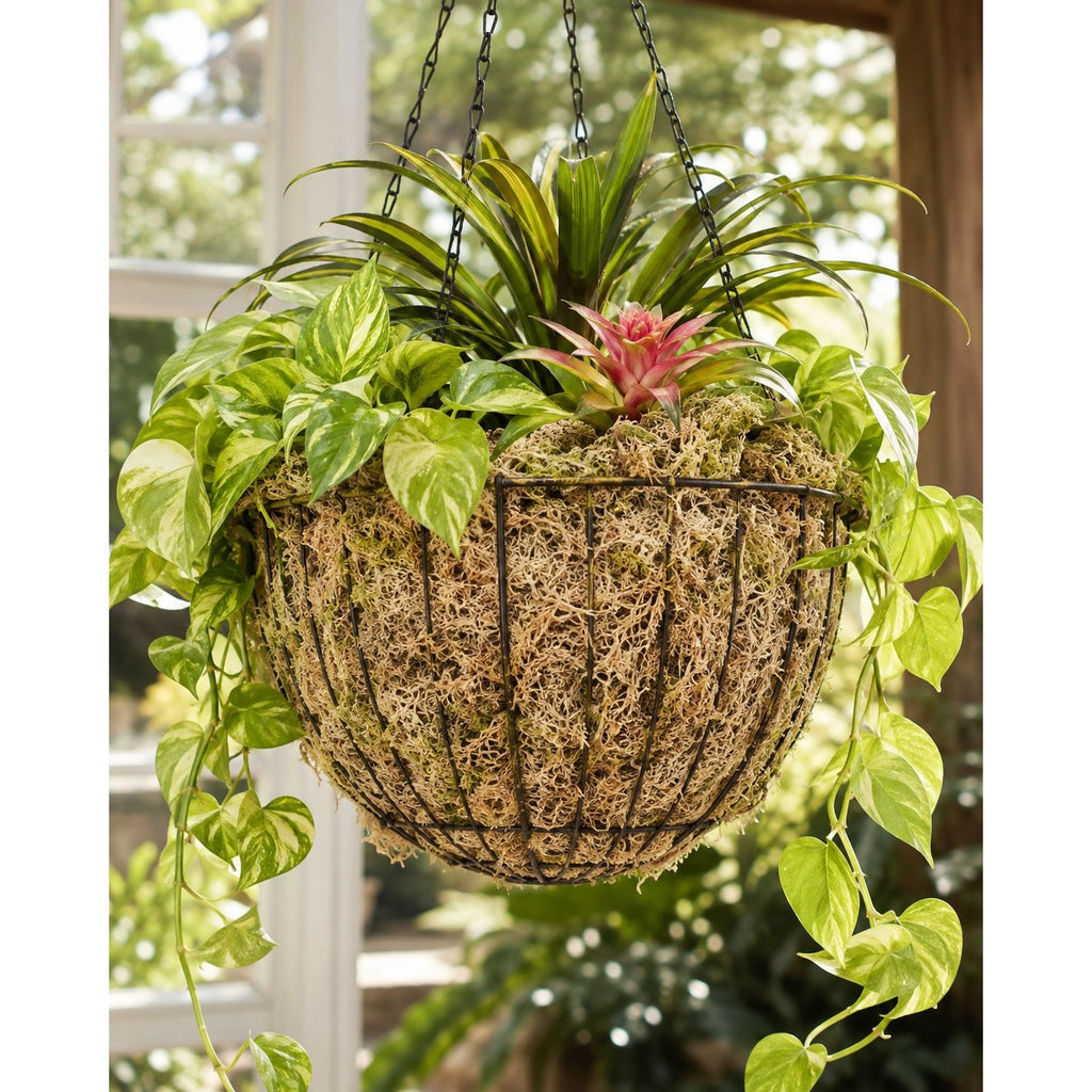 Sphagnum Moss 3.3 lb Long Fiber Bale for Succulent Wreaths Hanging Planters Floral Crafts Premium Natural