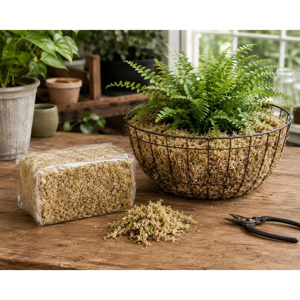 Sphagnum Moss 3.3 lb Long Fiber Bale for Succulent Wreaths Hanging Planters Floral Crafts Premium Natural