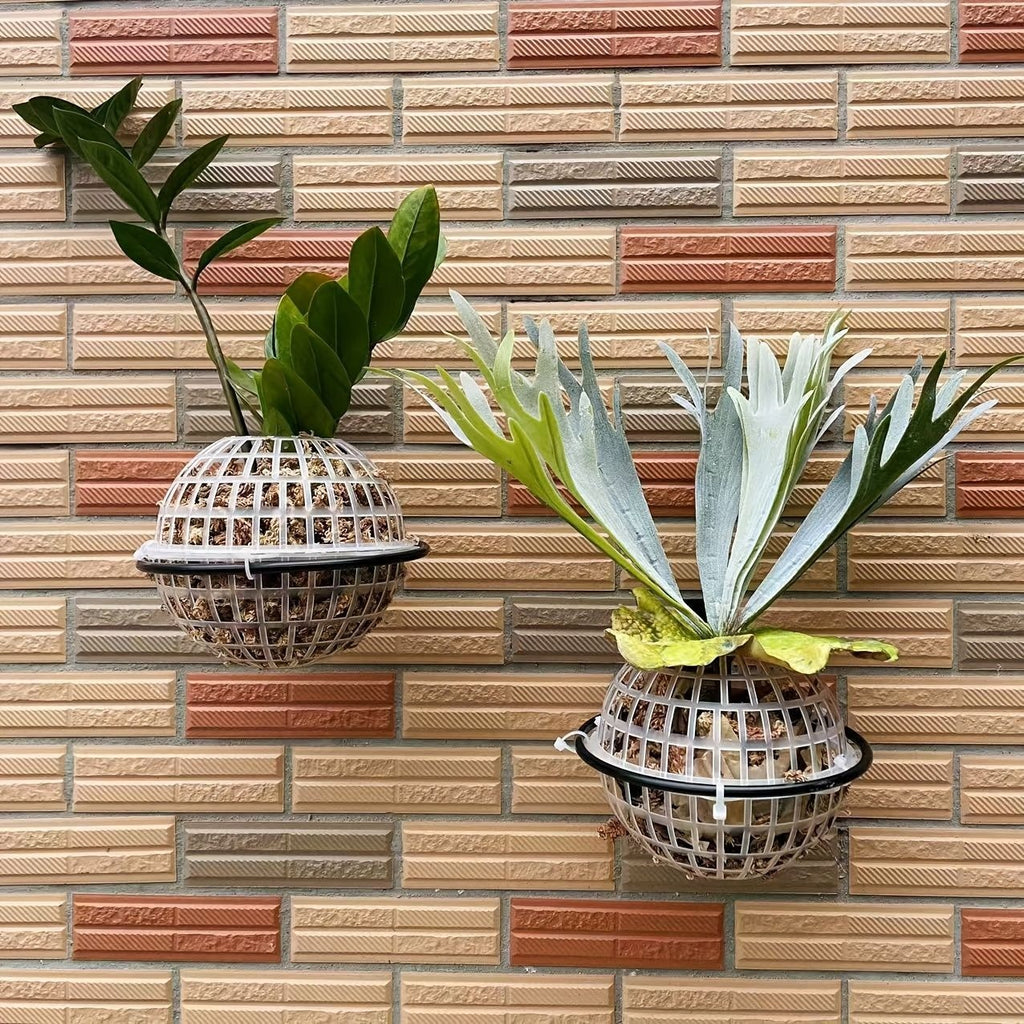 Staghorn Fern & Orchid Hanging Basket Planter Kit 6-Inch Plastic & Metal Bracket