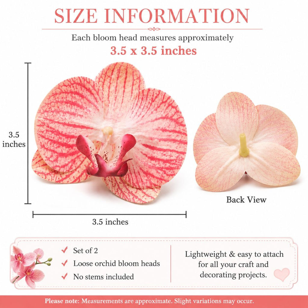 Size information graphic for a loose orchid bloom head, showing a front view and back view with dimensions labeled as approximately 3.5 x 3.