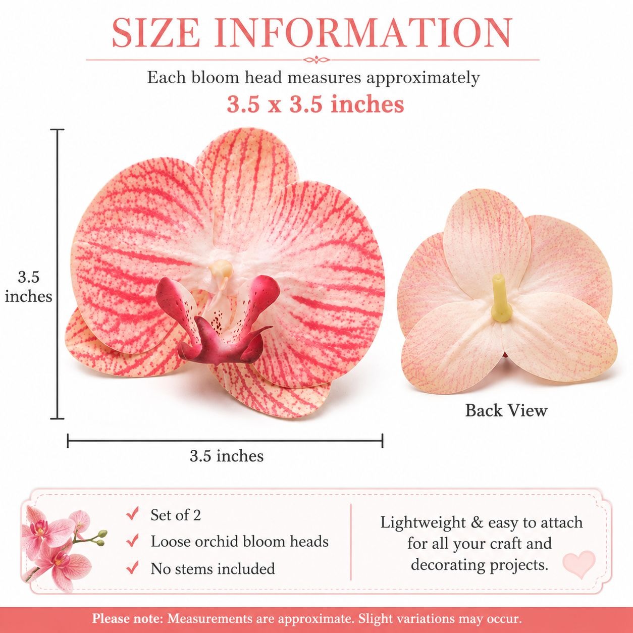 Size information graphic for a loose orchid bloom head, showing a front view and back view with dimensions labeled as approximately 3.5 x 3.