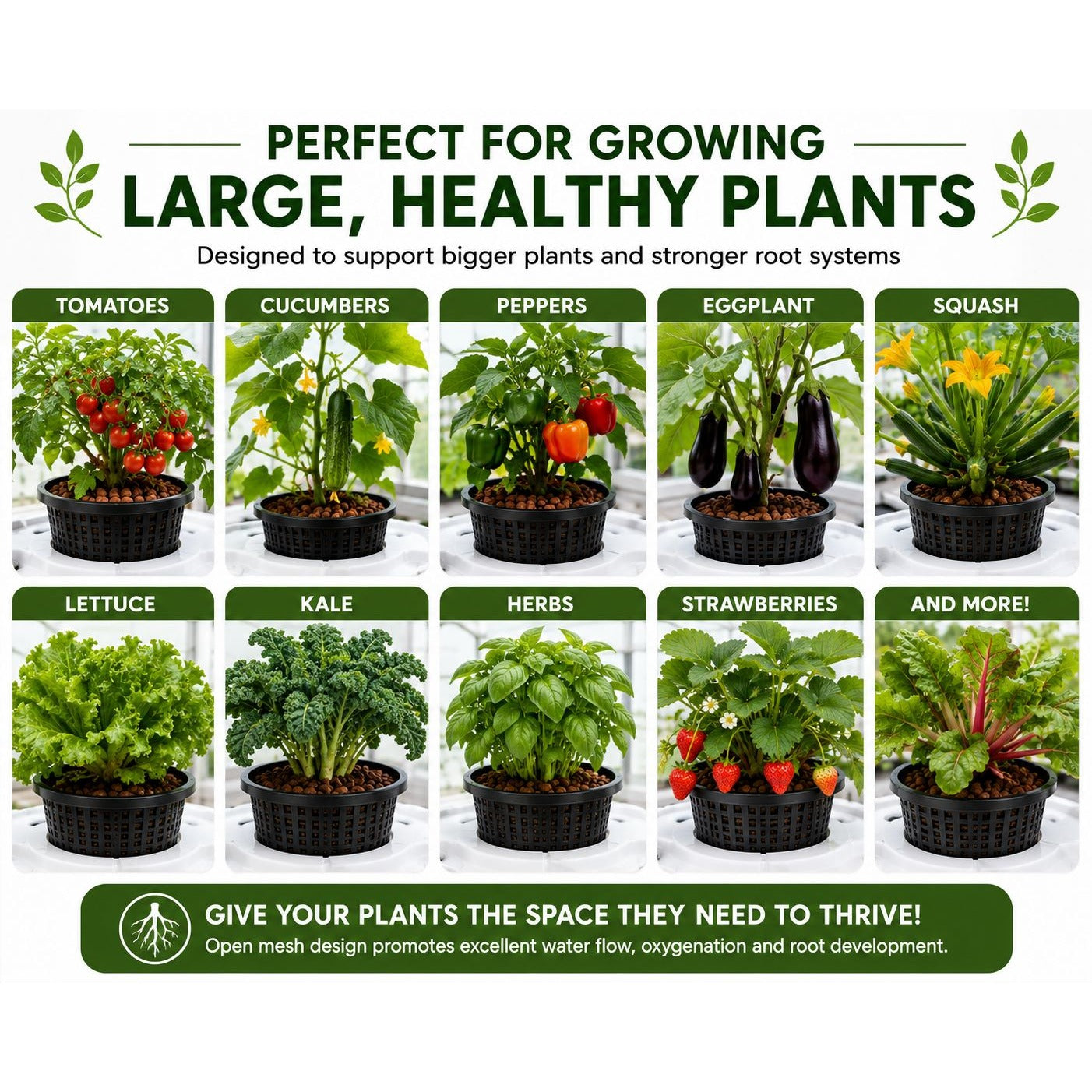 8 Inch Hydroponic Net Pot, Large DWC Net Cup, Aquaponics Net Basket, Heavy Duty Mesh Planter, Hydro Grow Basket