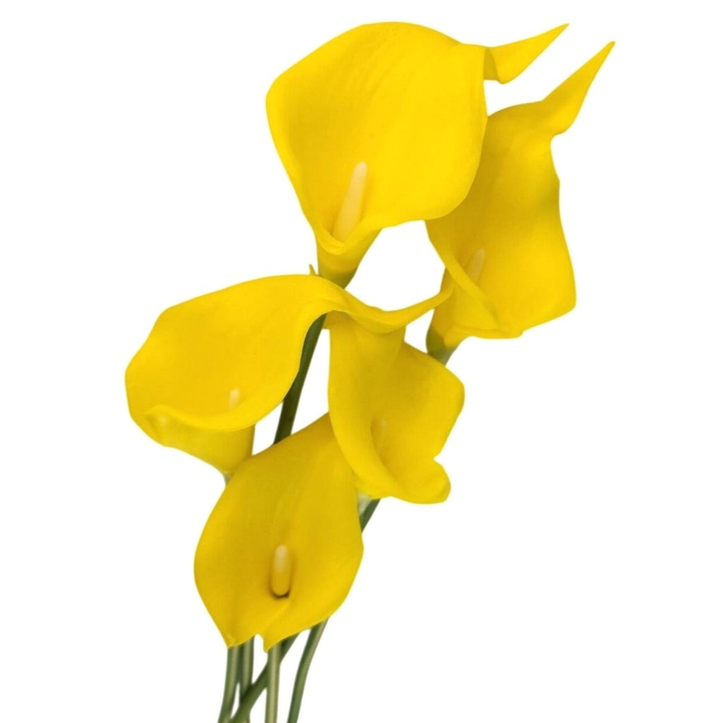 Sunny Yellow Faux Calla Lily Stems 15 Inch Wedding Artificial Flowers Spring Event Decor