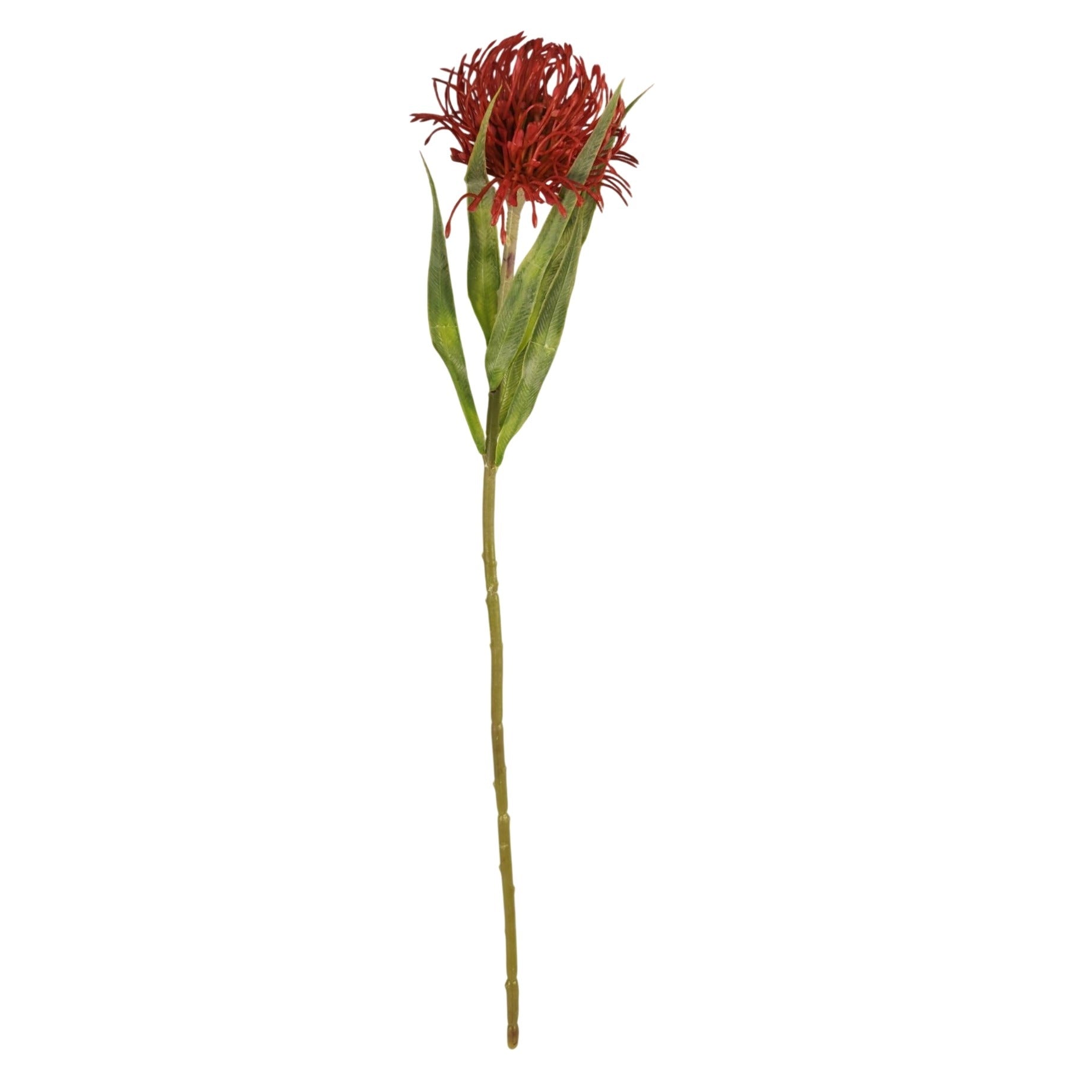 Artificial Red Pincushion Protea Stem | Faux Leucospermum Flower | Tropical Floral Decor