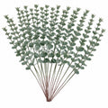 20 Baby Eucalyptus Stems, 14 Inch Real Touch Wired Artificial Gray Greenery