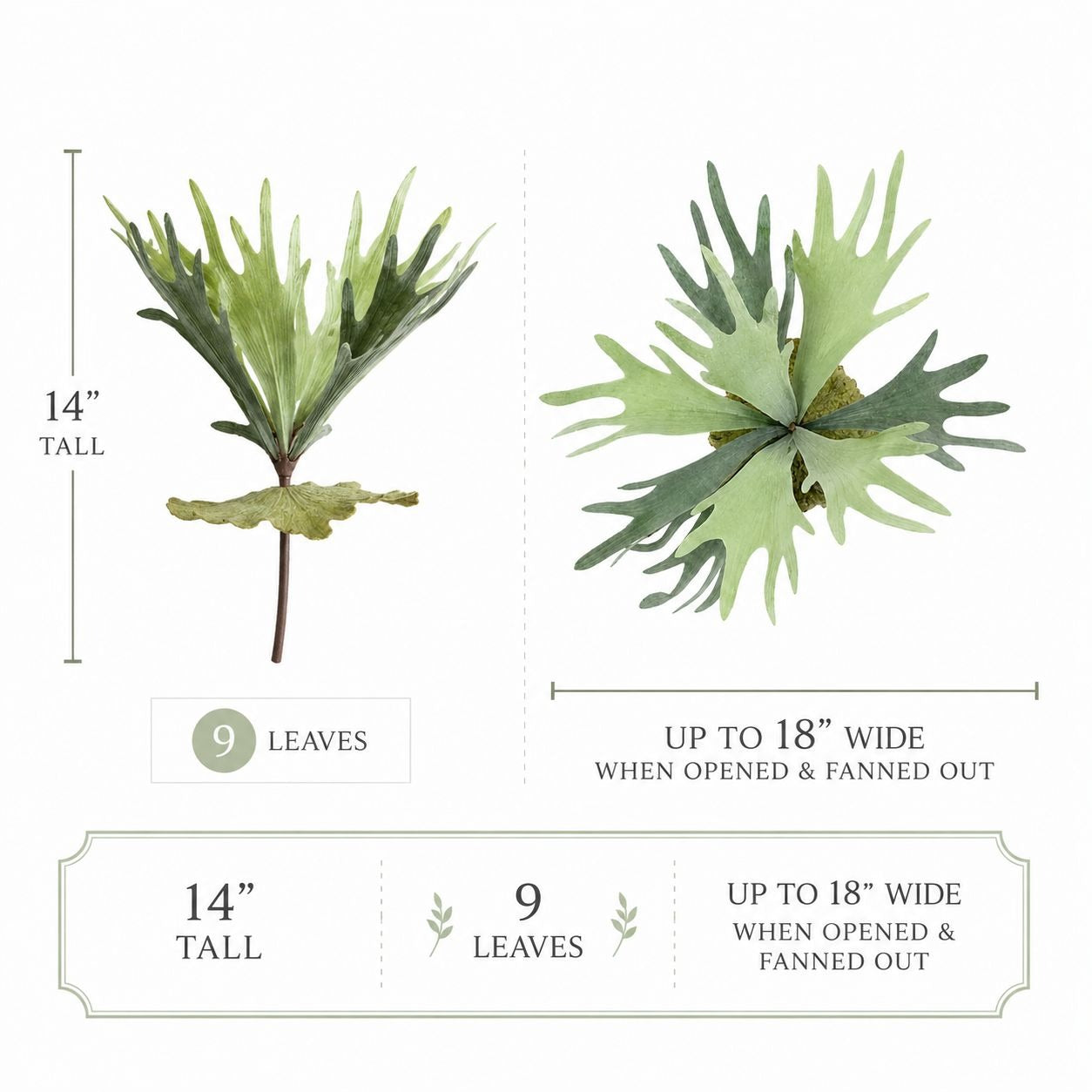 Artificial Staghorn Fern Faux Fern Wall Decor Mounted Fern Tropical Greenery Coastal Decor Farmhouse Wall Art Boho Decor
