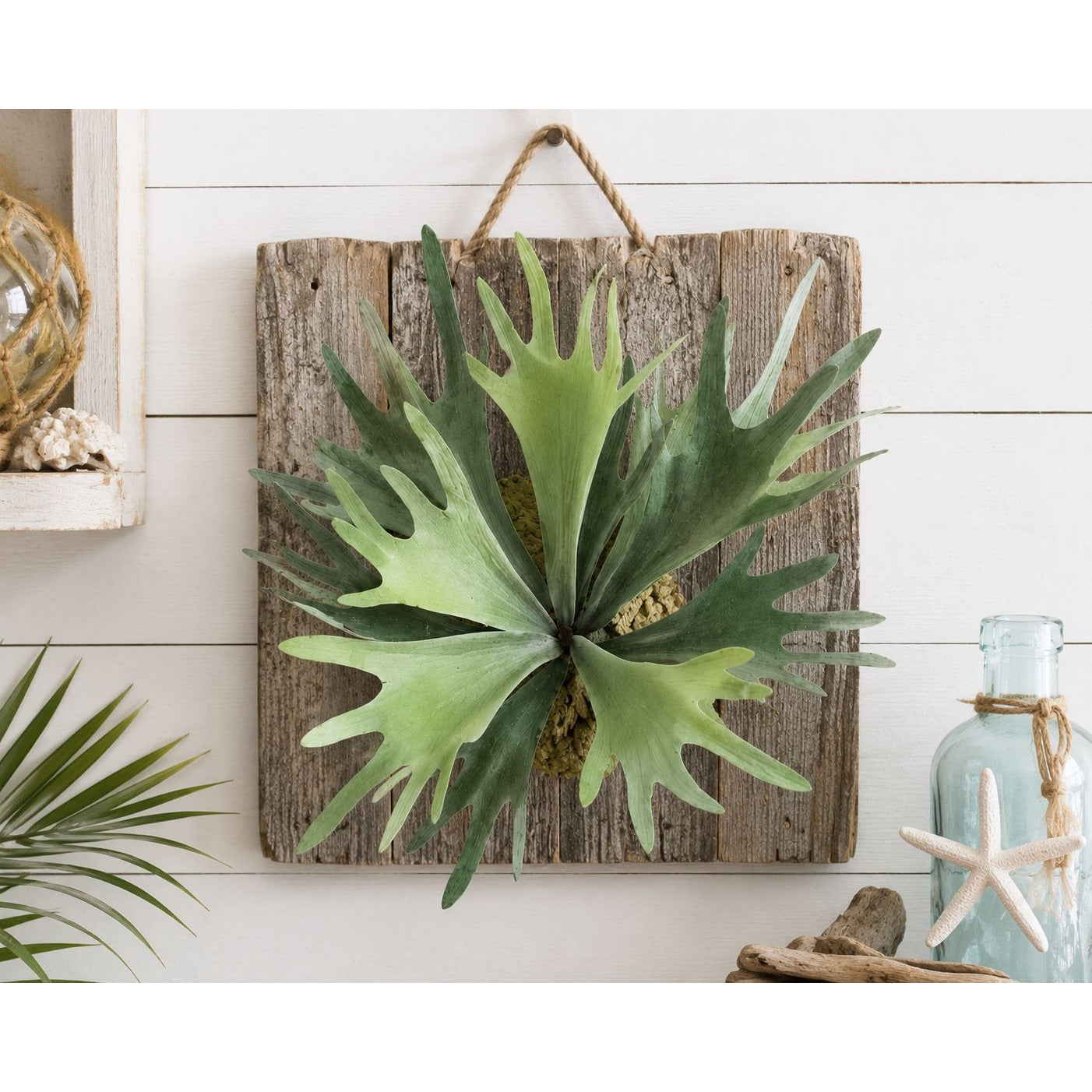 Artificial Staghorn Fern Faux Fern Wall Decor Mounted Fern Tropical Greenery Coastal Decor Farmhouse Wall Art Boho Decor