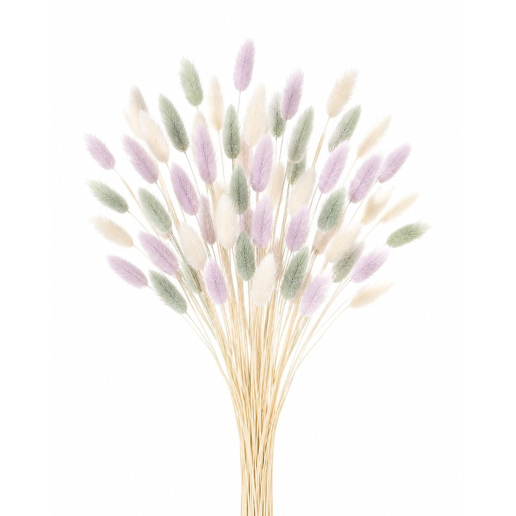 Pastel Bunny Tail Grass 70 Stems, 16 Inch Sage Lavender Cream Dyed Dried Lagurus for Baby Shower Centerpieces