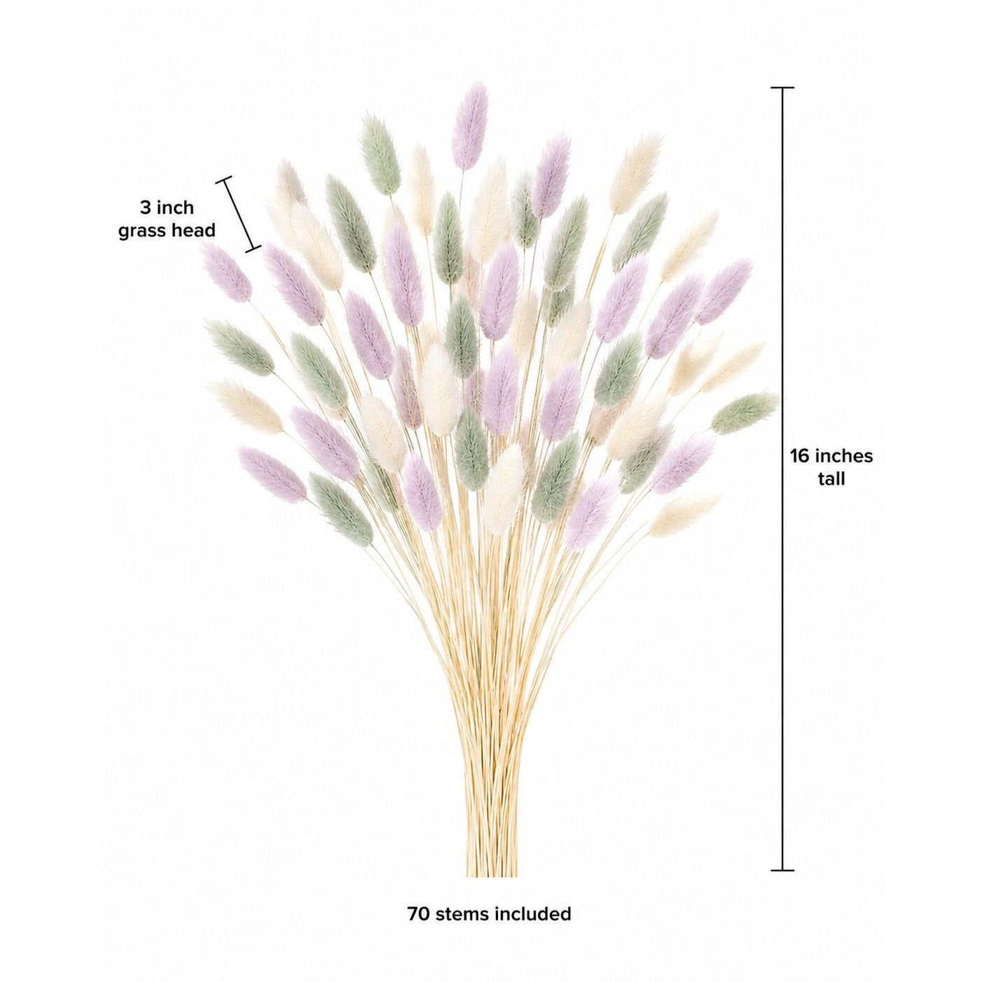Pastel Bunny Tail Grass 70 Stems, 16 Inch Sage Lavender Cream Dyed Dried Lagurus for Baby Shower Centerpieces