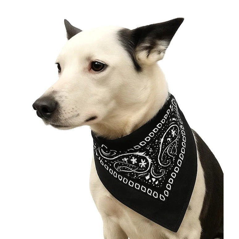 Bandanas 21x21" Western Cowboy Cowgirl - Black Brown Green Paisley Square Scarves 3 Pack