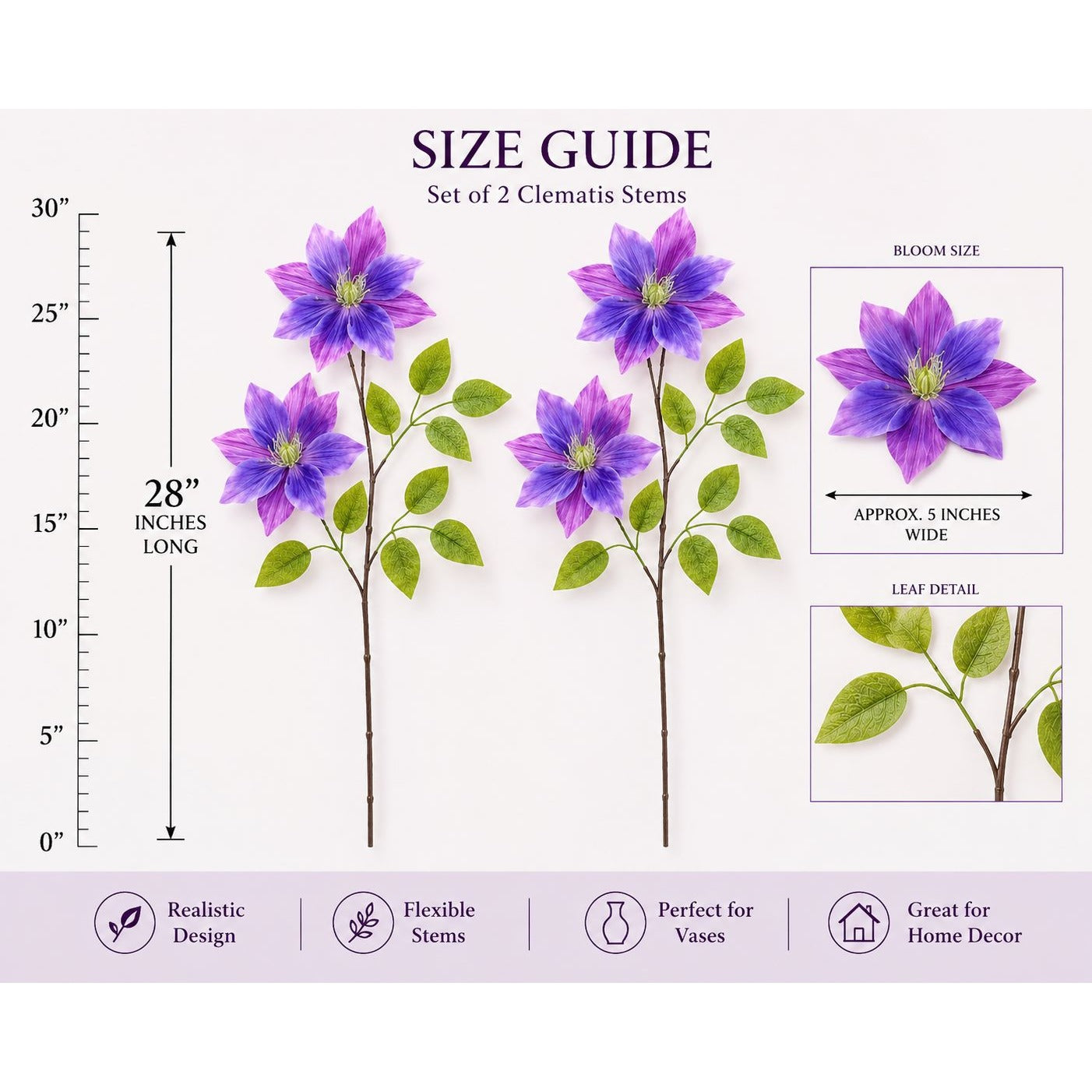 Size guide for set of 2 Clematis stems with measurements and details.